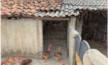 VENTA. TERRENO CON CASCO DE RANCHO. TEMOAYA. RANCHERIA LA LOMA. EDO DE MEXICO.