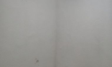 DEPARTAMENTO EN RENTA EN COLONIA VASCO DE QUIROGA