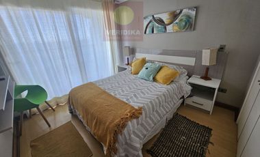 Arriendo Depto amoblado Marzo hasta Diciembre del 2025.
