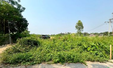 Prime Land for Sale – Perfect for a Small Housing Project in San Kamphaeng Area
