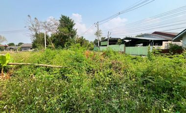 Prime Land for Sale – Perfect for a Small Housing Project in San Kamphaeng Area