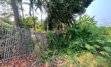 Prime Land for Sale – Perfect for a Small Housing Project in San Kamphaeng Area