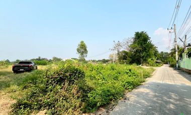 Prime Land for Sale – Perfect for a Small Housing Project in San Kamphaeng Area