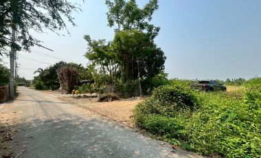 Prime Land for Sale – Perfect for a Small Housing Project in San Kamphaeng Area