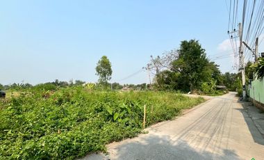 Prime Land for Sale – Perfect for a Small Housing Project in San Kamphaeng Area