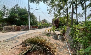 Prime Land for Sale – Perfect for a Small Housing Project in San Kamphaeng Area