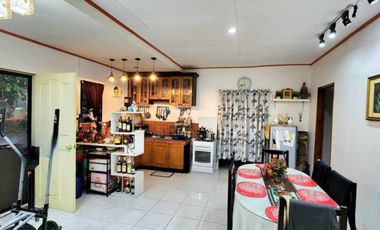 SUBDIVISION HOUSE AND LOT FOR SALE IN DUMAGUETE CITY ID 14989