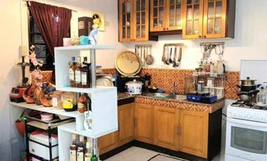 SUBDIVISION HOUSE AND LOT FOR SALE IN DUMAGUETE CITY ID 14989