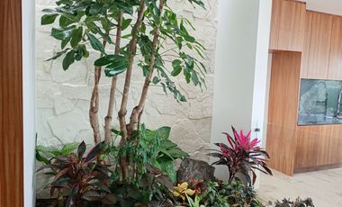 CASA EN VENTA EN ALAMOS TRES MARIAS MORELIA