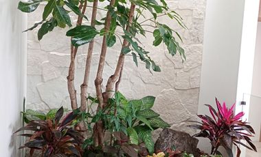 CASA EN VENTA EN ALAMOS TRES MARIAS MORELIA