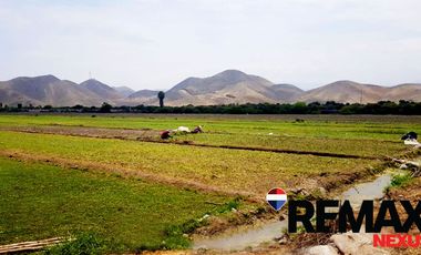 SE VENDE TERRENO CAMPO Y PLAYA EN SAN ANTONIO DE MALA EN CAÑETE