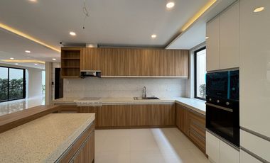 Brand New 5 Bedroom with Elevator House and Lot in BF Homes Paranaque City Sinagtala Village