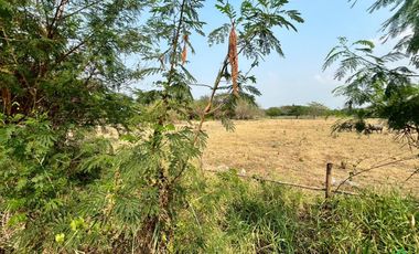 Large Land Plot for Sale in a Prime Location in San Kamphaeng, Chiang Mai