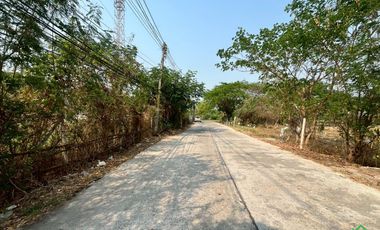 Large Land Plot for Sale in a Prime Location in San Kamphaeng, Chiang Mai