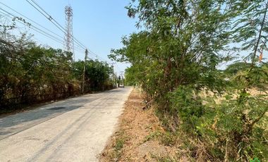 Large Land Plot for Sale in a Prime Location in San Kamphaeng, Chiang Mai