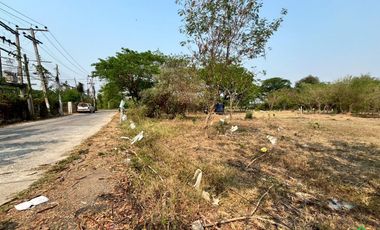 Large Land Plot for Sale in a Prime Location in San Kamphaeng, Chiang Mai