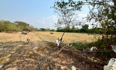 Large Land Plot for Sale in a Prime Location in San Kamphaeng, Chiang Mai