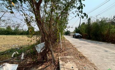 Large Land Plot for Sale in a Prime Location in San Kamphaeng, Chiang Mai