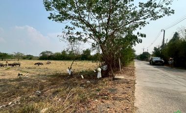 Large Land Plot for Sale in a Prime Location in San Kamphaeng, Chiang Mai