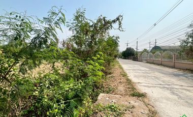 Large Land Plot for Sale in a Prime Location in San Kamphaeng, Chiang Mai