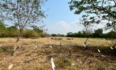 Large Land Plot for Sale in a Prime Location in San Kamphaeng, Chiang Mai