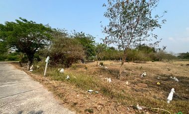 Large Land Plot for Sale in a Prime Location in San Kamphaeng, Chiang Mai