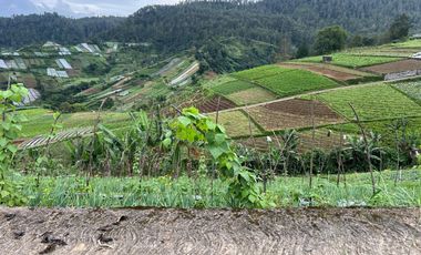 Tanah 300 Juta Strategis Bangun Villa Tawangmangu
