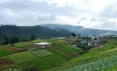 Tanah 300 Juta Strategis Bangun Villa Tawangmangu