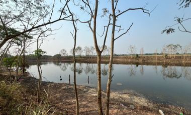 For Sale: Large Land Plot with a Pond and a House in a Prime Location, Buak Kang, San Kamphaeng