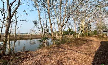 For Sale: Large Land Plot with a Pond and a House in a Prime Location, Buak Kang, San Kamphaeng