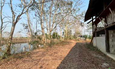 For Sale: Large Land Plot with a Pond and a House in a Prime Location, Buak Kang, San Kamphaeng