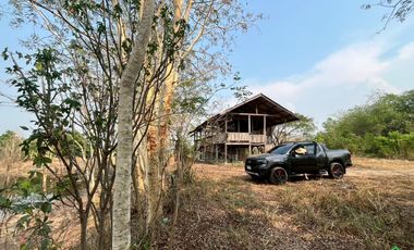 For Sale: Large Land Plot with a Pond and a House in a Prime Location, Buak Kang, San Kamphaeng