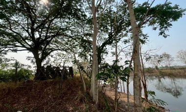 For Sale: Large Land Plot with a Pond and a House in a Prime Location, Buak Kang, San Kamphaeng