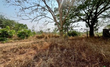 For Sale: Large Land Plot with a Pond and a House in a Prime Location, Buak Kang, San Kamphaeng