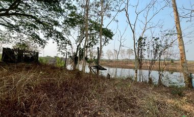 For Sale: Large Land Plot with a Pond and a House in a Prime Location, Buak Kang, San Kamphaeng