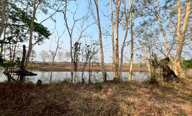 For Sale: Large Land Plot with a Pond and a House in a Prime Location, Buak Kang, San Kamphaeng