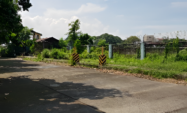 Industrial Lot (Acessible to 40-footer) for SALE at Brgy. Bambang, Pasig City