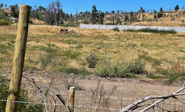 Terreno Urbano de 20.500M2 ( 2,05 hectáreas) orilla pavimento Quinchamali