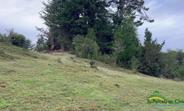 Parcelas 5.000 m2 Rol propio