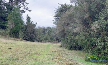 Parcelas 5.000 m2 Rol propio