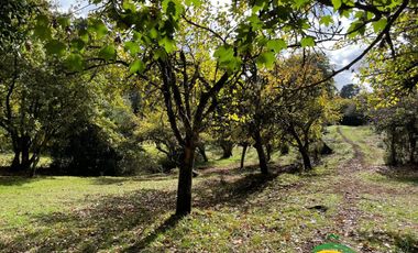 Parcelas 5.000 m2 Rol propio