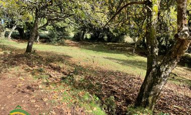 Parcelas 5.000 m2 Rol propio