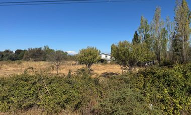 6 hectáreas a orilla carretera 5 Sur Ñiquen San Gregorio