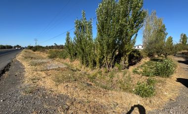 6 hectáreas a orilla carretera 5 Sur Ñiquen San Gregorio