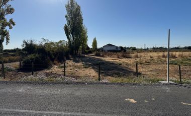 6 hectáreas a orilla carretera 5 Sur Ñiquen San Gregorio