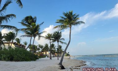 Casa con alberca, jacuzzi, doble altura, en venta, Cd. Mayakoba, Playa del Carmen
