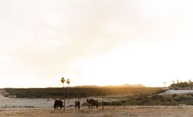 Hotel Boutique Frente al Mar en Venta – VidaSoul, Cabo del Este, B.C.S.