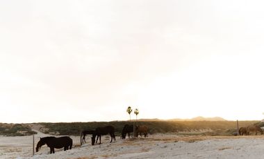Hotel Boutique Frente al Mar en Venta – VidaSoul, Cabo del Este, B.C.S.