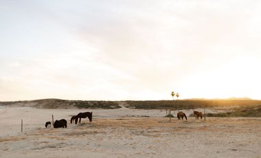 Hotel Boutique Frente al Mar en Venta – VidaSoul, Cabo del Este, B.C.S.
