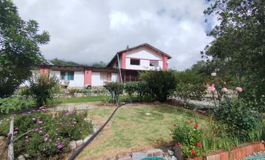 Casa en Limatambo ideal para Hotel o Airbnb + Cultivos de Palta, Limón y más